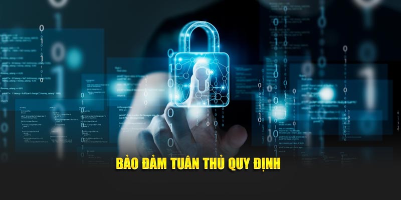 Bảo đảm tuân thủ quy định