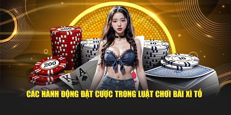Các hành động đặt cược trong luật chơi bài Xì Tố