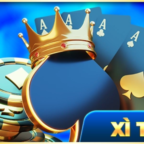 logo xì tố