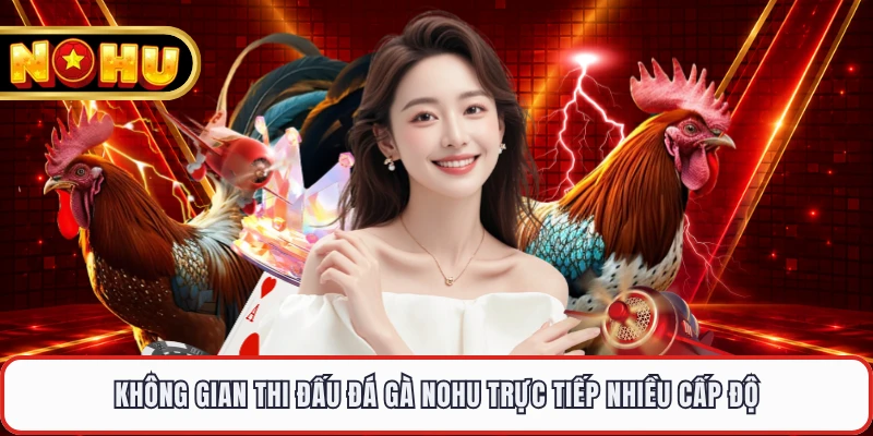 Không gian thi đấu đá gà NOHU trực tiếp nhiều cấp độ